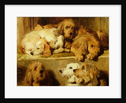 Hounds in a kennel by Edwin Landseer
