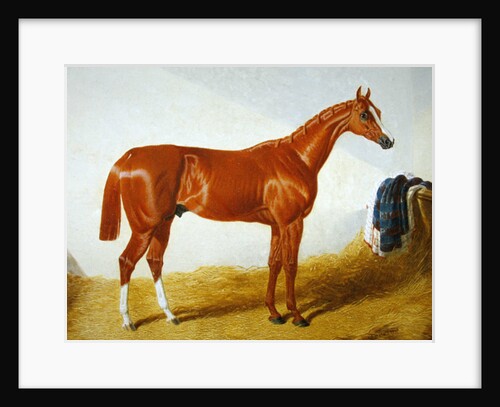 Elis, 1836 by John Frederick Herring Snr