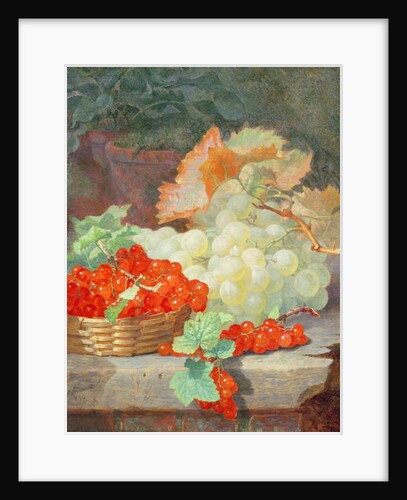 Redcurrants and Grapes, 1864 by Eloise Harriet Stannard