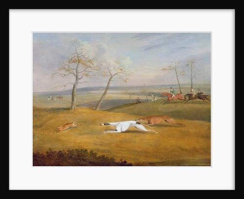 Coursing: the chase by Samuel Alken