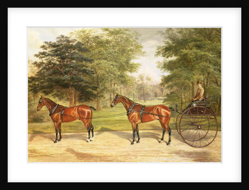 Two horses, harnessed in tandem, pulling a carriage, 1883 by Benjamin Cam Norton