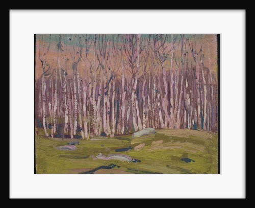 Silver Birches, c.1915 by Thomas John Thomson