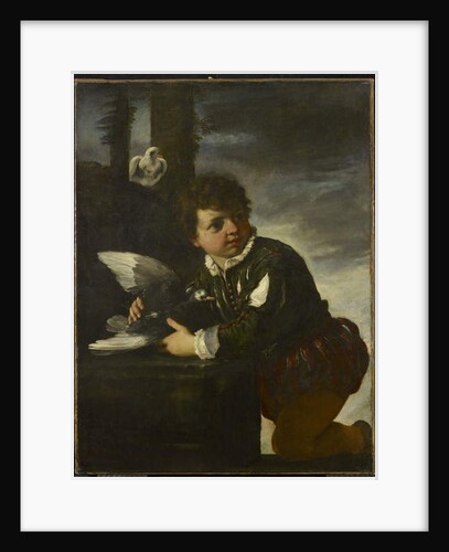 Boy with a Dove, c.1650-55 by Pier Francesco Mola