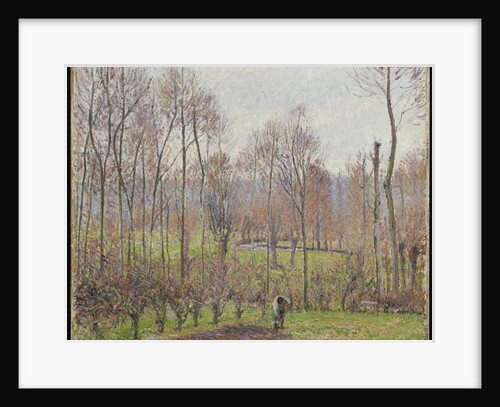 Poplars, Grey Weather, Eragny, 1895 by Camille Pissarro