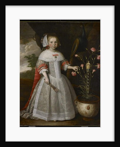 Portrait of a Young Girl with Carnations, c.1663 by Jan Albertsz Rotius