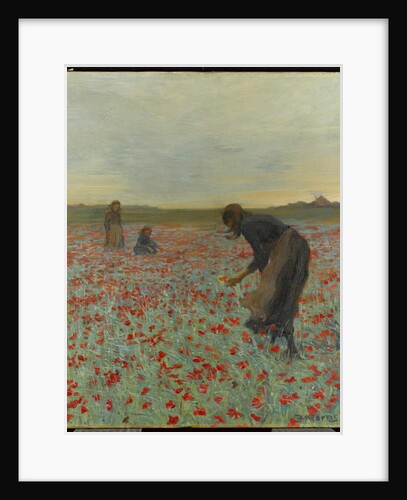 Girls in a Poppy Field, c.1896 by Edmund Montague Morris