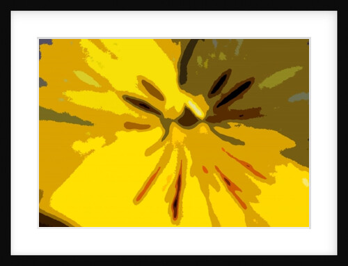 Urban Bloom by Sarah O'Toole