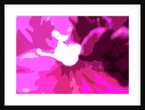 Raspberry Crush by Sarah O'Toole