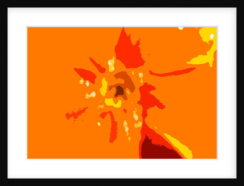 Sunshine Camouflage by Sarah O'Toole