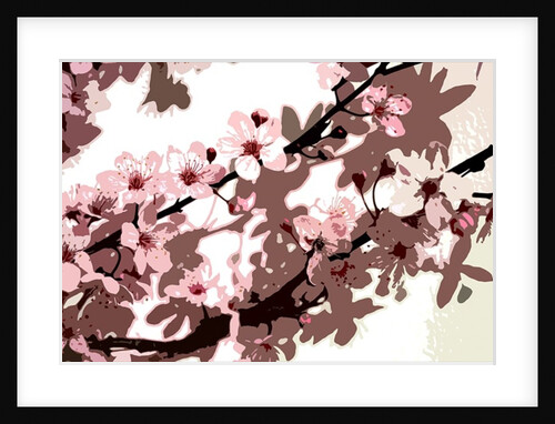 Japanese Blossom by Sarah O'Toole