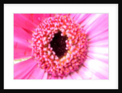 Bridesmaid Pink by Sarah O'Toole