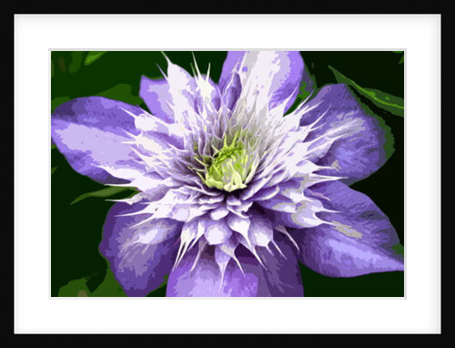 Ocean Bloom by Sarah O'Toole