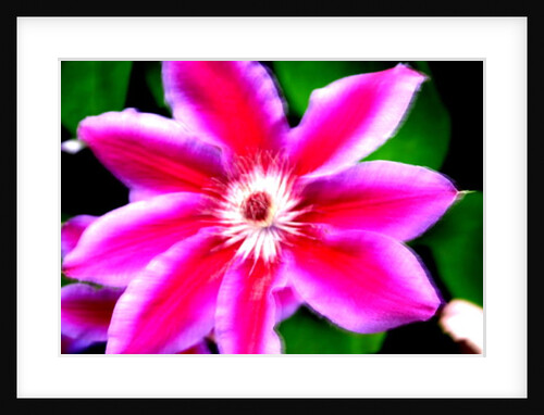 Winds of Change by Sarah O'Toole