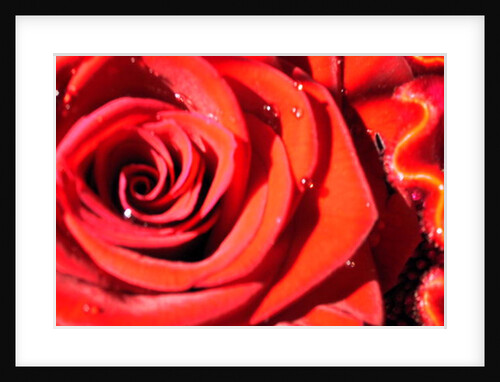 Valentine's by Sarah O'Toole