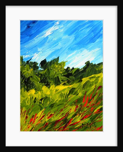 A walk in Puilboro, 2009 by Patricia Brintle