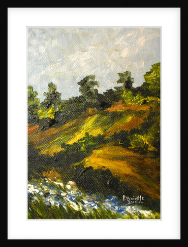 Bleuets a Trouin, 2014 by Patricia Brintle