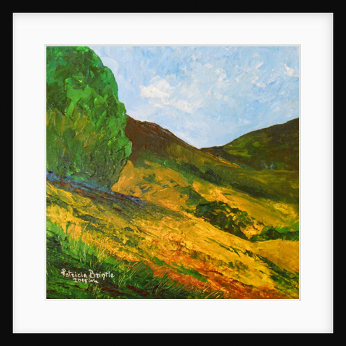 Morne La Selle, 2015 by Patricia Brintle