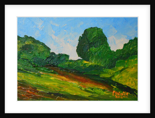 Plaisance surrounding, 2016 by Patricia Brintle