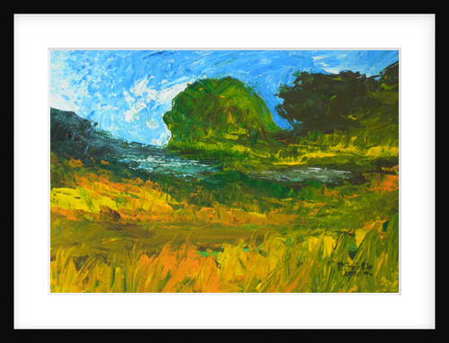 Riviere de Bainet, 2010 by Patricia Brintle