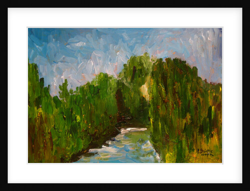 Winding river, 2009 by Patricia Brintle