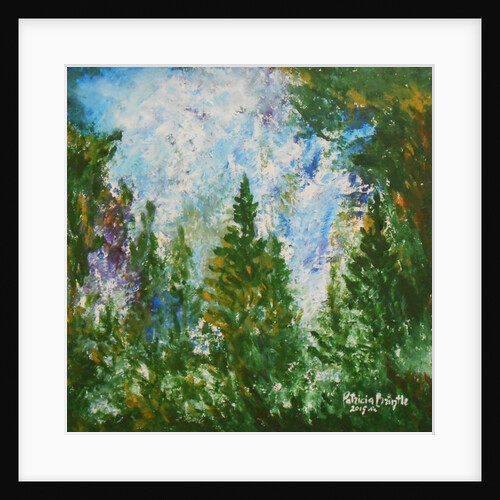 Winter afternoon, 2015 by Patricia Brintle