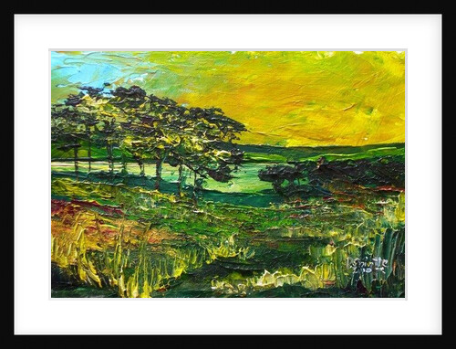 Vers L'Etang de Miragoane, 2010 by Patricia Brintle