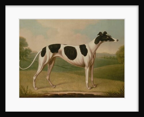 Greyhound, 1800 by Benjamin Killingbeck