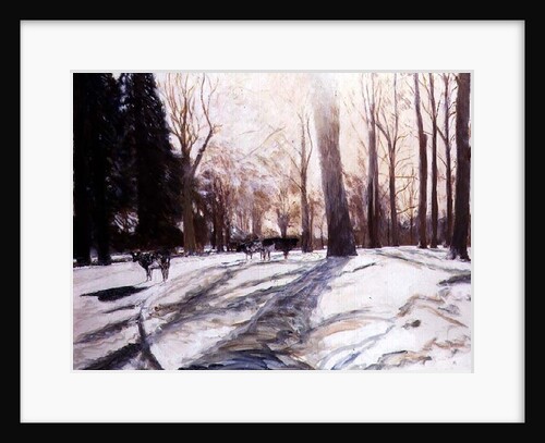 Snow at Broadlands by Paul Stewart