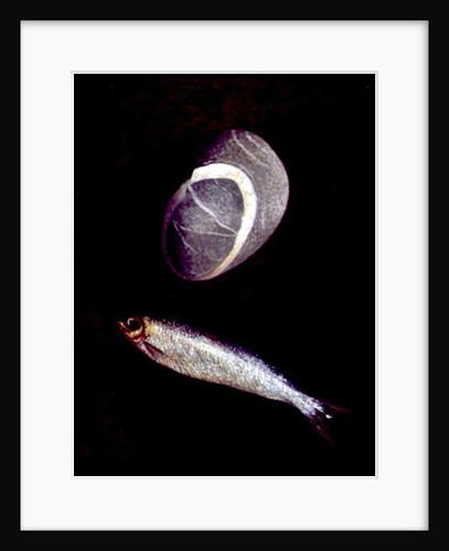 Fish and Rock Form, 1997 by Peter Davidson