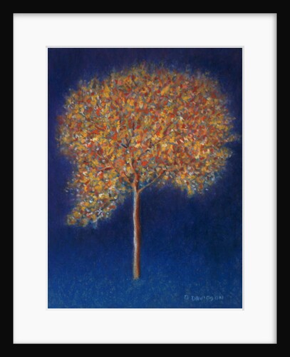 Tree in Blossom, 1997 by Peter Davidson
