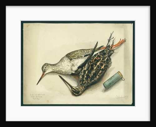 Snipe and Redshank, 1872 by Claude Conder