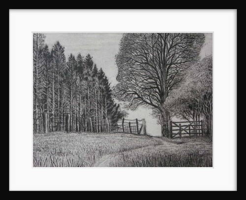 The Forest Path - Spring by Peter A Ford