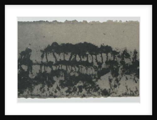 November Woods by Peter A Ford