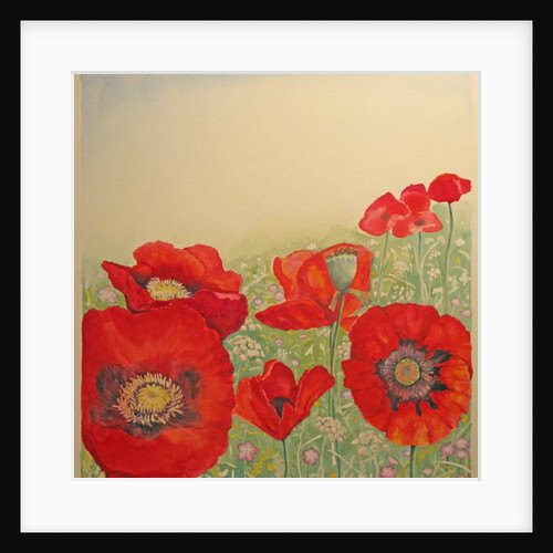 Poppy Field by Peter A Ford