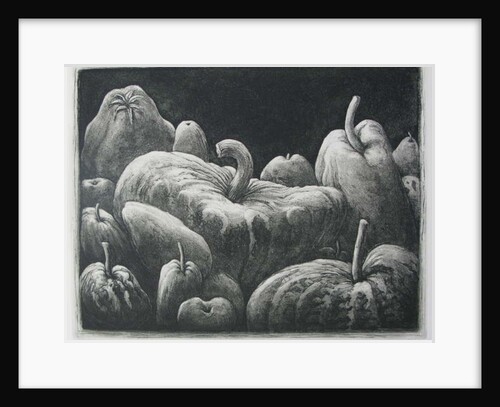 Pumpkins, Gourds and Squashes by Peter A Ford