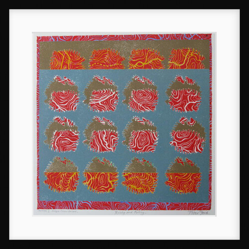 Rising and Falling by Peter A Ford