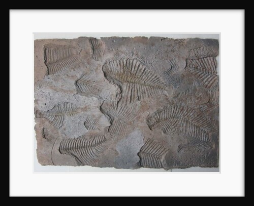 Signs of Life XIV by Peter A Ford