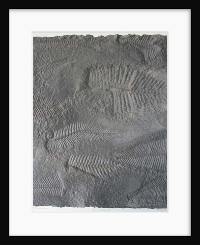 Signs of Life XVI by Peter A Ford
