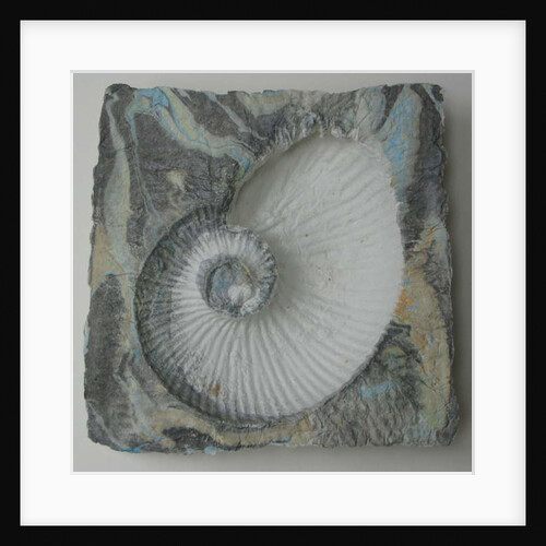 Helix 1 by Peter A Ford