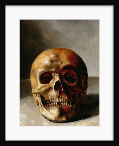 Skull by European School