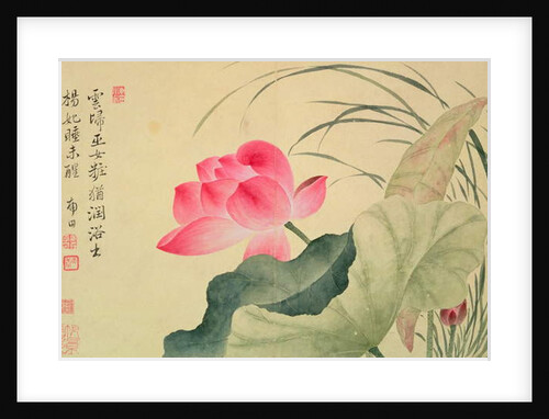 Lotus flower, by Yun Shou-P'ing by Shouping Yun