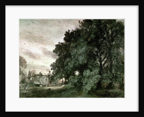 Study of Trees by John Constable