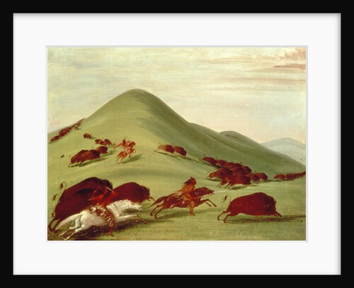 The Buffalo Hunt by George Catlin