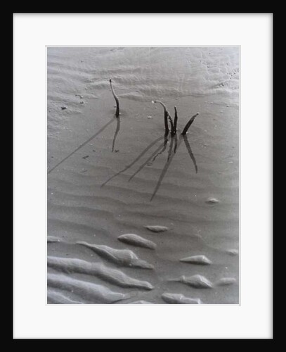 VINTAGE B&W PHOTO No.4, 1985 by Peter McClure