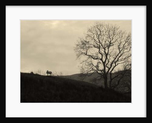 Kintyre... Plus. 9 by Peter McClure