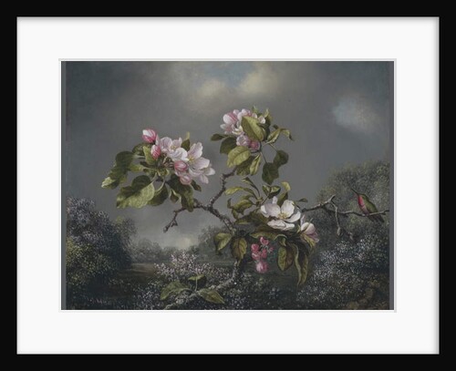 Apple Blossoms and Hummingbird, 1871 by Martin Johnson Heade