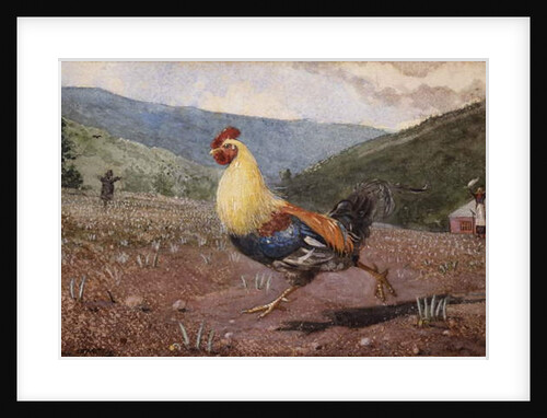 The Rooster, 1876 by Winslow Homer