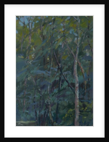 Woodland path, 2008 by Pat Maclaurin