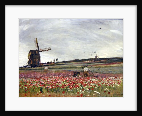 Poppy Field, 1886 by David Murray