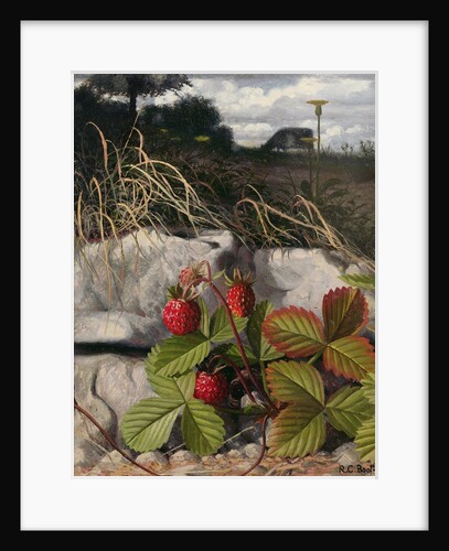 Strawberries by Raymond Booth
